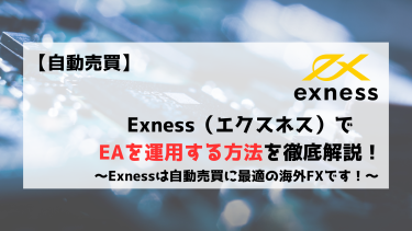 【自動売買】Exness（エクスネス）でEAを運用する方法を徹底解説します！