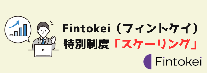 Fintokei フィントケイ　スケーリング　増大